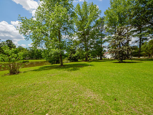 158 Old Winter Road Summerville, SC 29486 - Photo 39 of 47 Large Yard