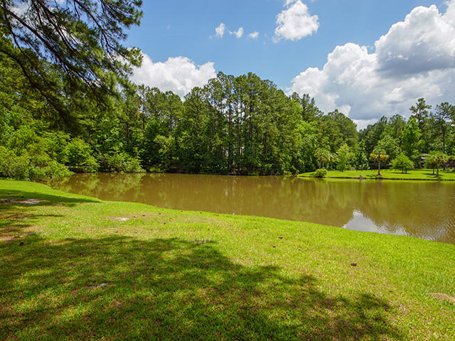 158 Old Winter Road Summerville, SC 29486 - Photo 44 of 47 Pond Views