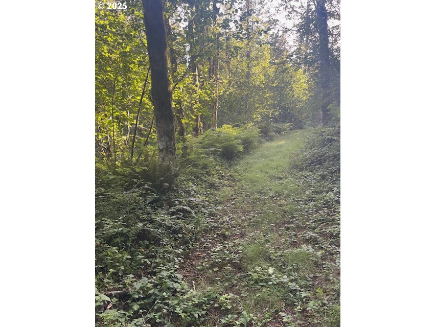 0 Mathews Road Washougal, WA 98671 - Photo 1 of 12 Gallery Image 1