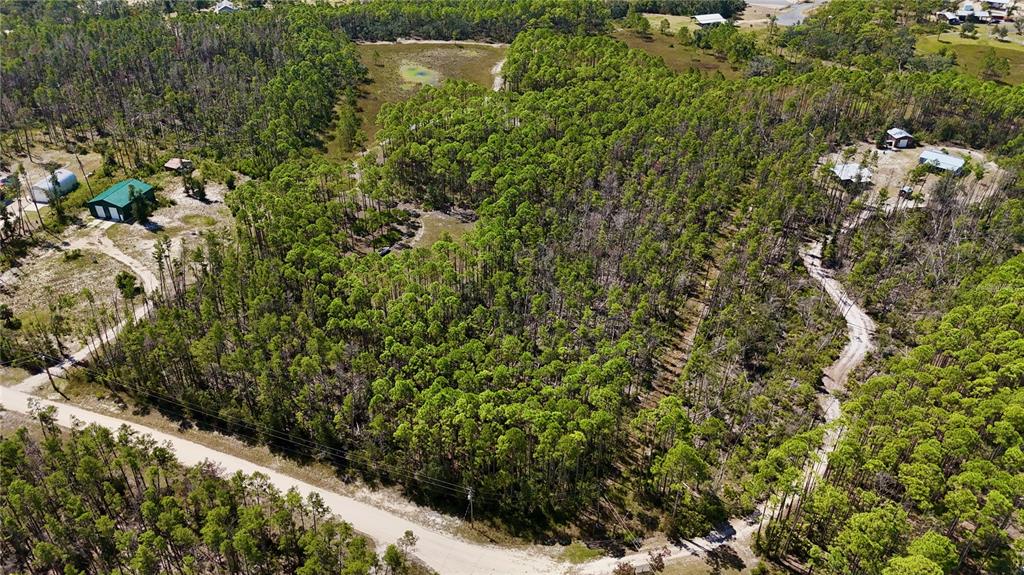 0 Key Deer Road Perry, FL 32348 - Photo 14 of 25 a view of a garden with a plants