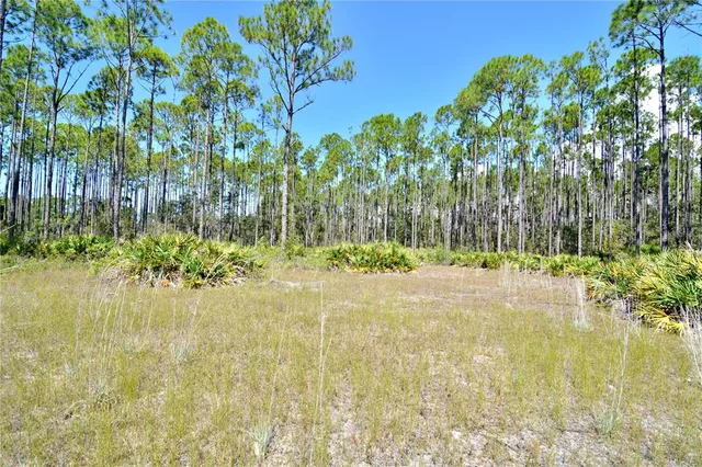 a view of backyard of house with green space