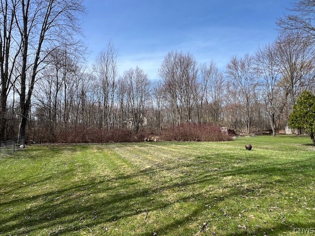 7167 Fremont Road Manlius, NY 13057 - Photo 2 of 17 Spacious backyard