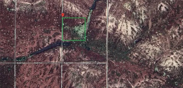 a bathroom with a sink and a shower