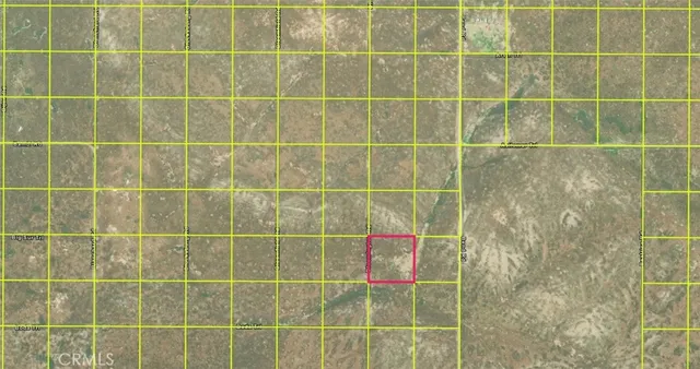 a white vase with flowers on it