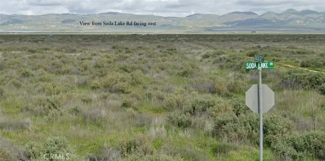a view of a lake from a yard