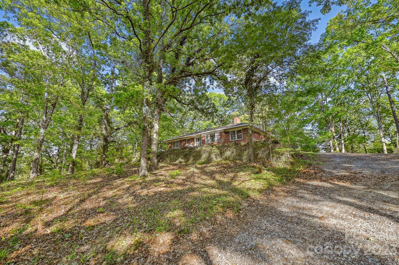 3710 Benjamin Street Richburg, SC 29729 - Photo 5 of 35 a view of tree with wooden fence