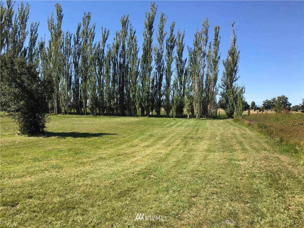 851 Moreau Road Ellensburg, WA 98926 - Photo 15 of 16 Gallery Image 15