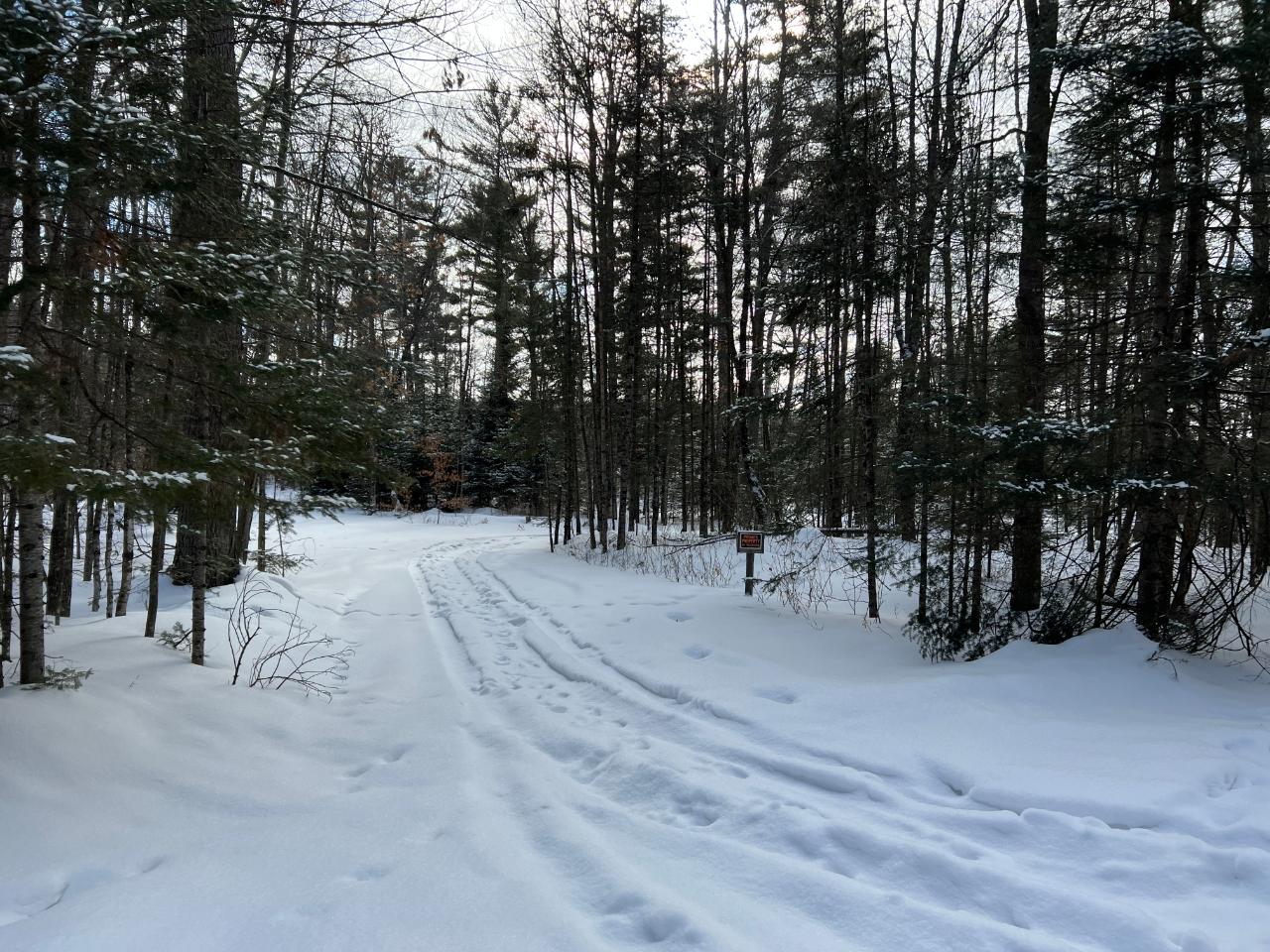 On East Anvil Lake Road, Unit LOT 2 Eagle River, WI 54521 - Photo 7 of 8 Gallery Image 7