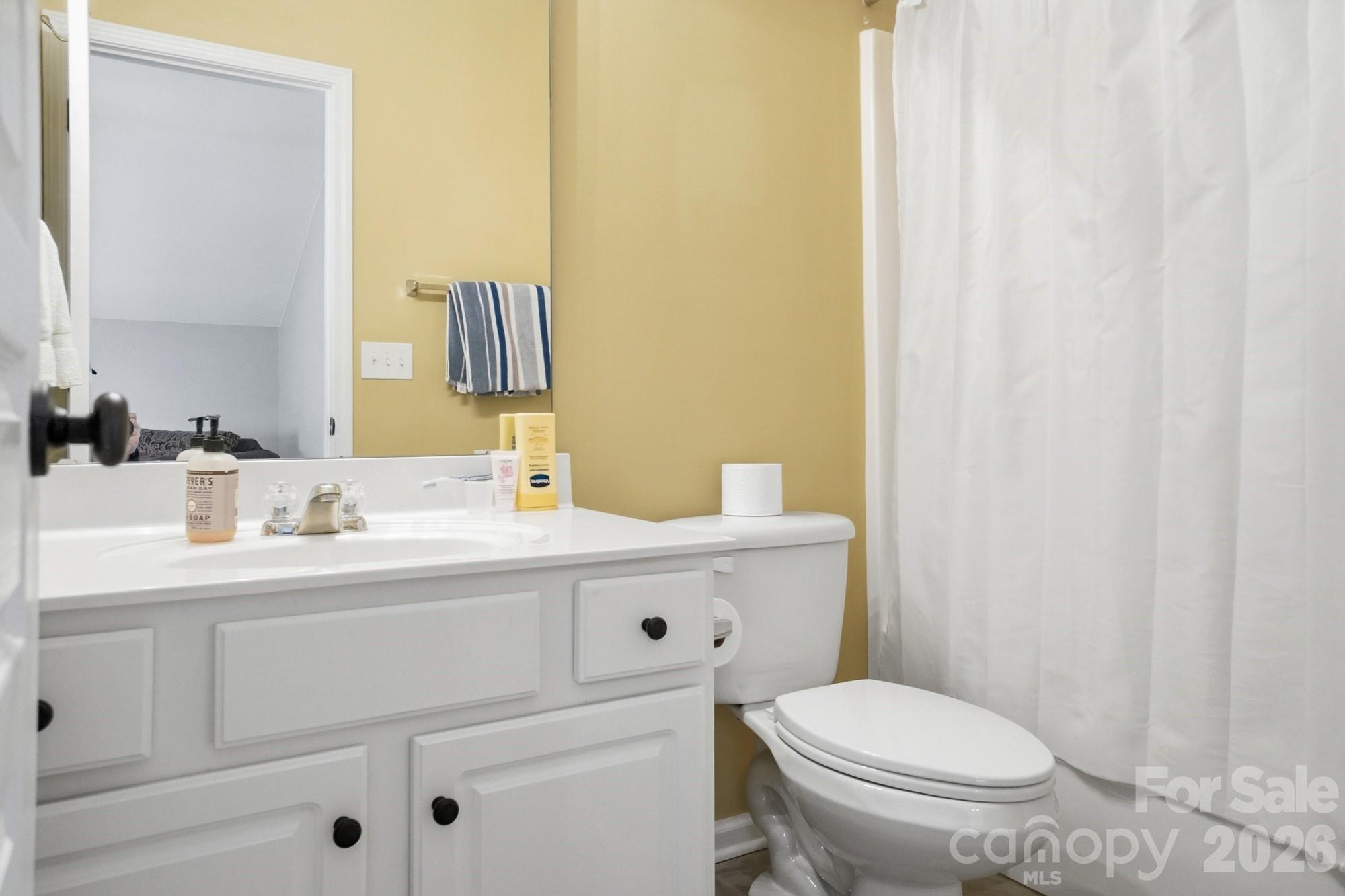 425 Silver Cypress Lane Fort Mill, SC 29708 - Photo 31 of 40 a bathroom with a toilet a sink and mirror