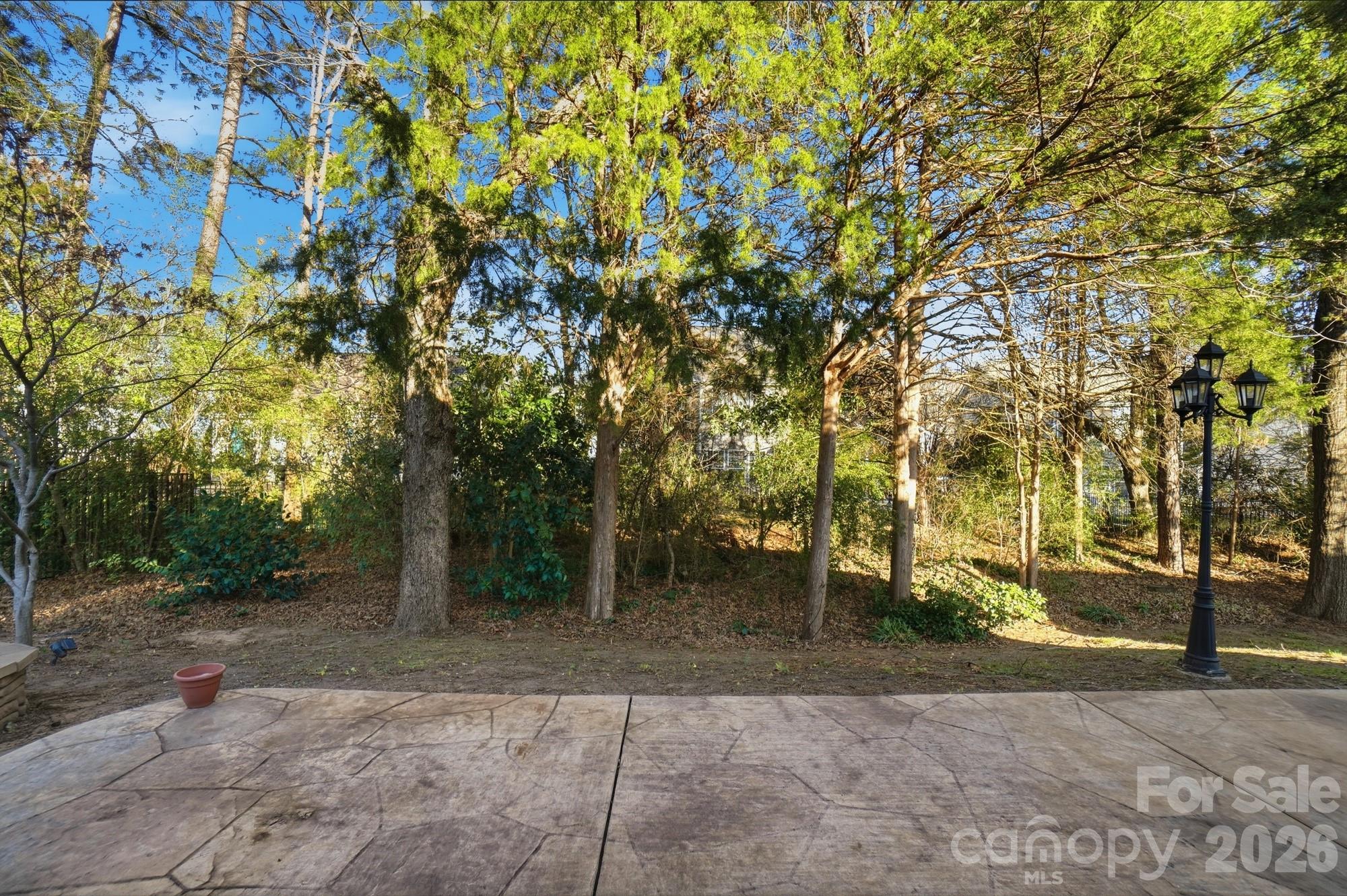 425 Silver Cypress Lane Fort Mill, SC 29708 - Photo 37 of 40 a view of a park with tree s