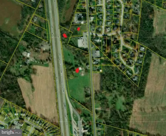 a view of a plant in a garden