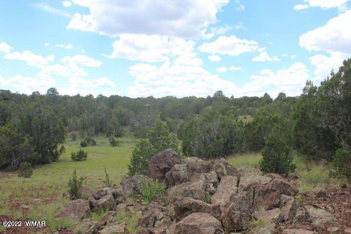33 County Road Show Low, AZ 85901 - Photo 2 of 9