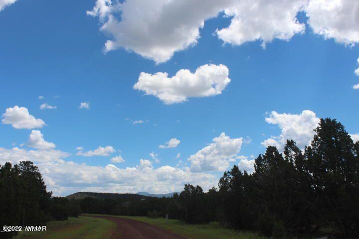 33 County Road Show Low, AZ 85901 - Photo 3 of 9
