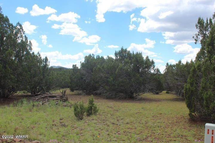 33 County Road Show Low, AZ 85901 - Photo 5 of 9