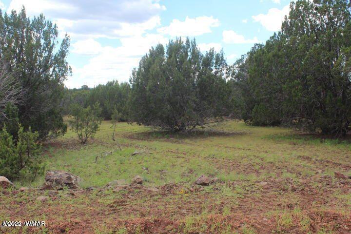 33 County Road Show Low, AZ 85901 - Photo 7 of 9
