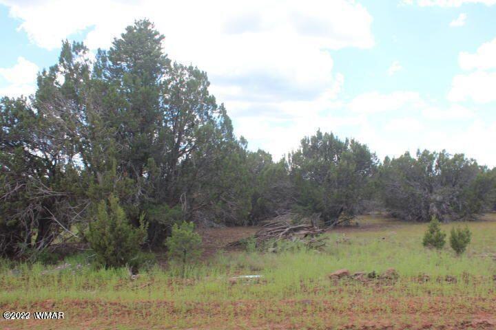 33 County Road Show Low, AZ 85901 - Photo 9 of 9