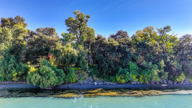 a view of outdoor space with garden
