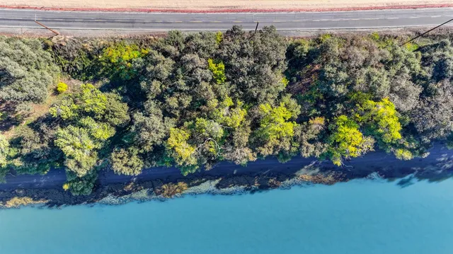 a view of a lush green forest with lots of trees