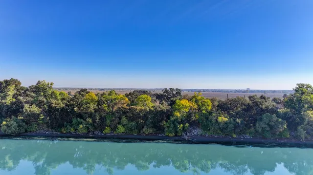 a view of a yard with a tree in the background