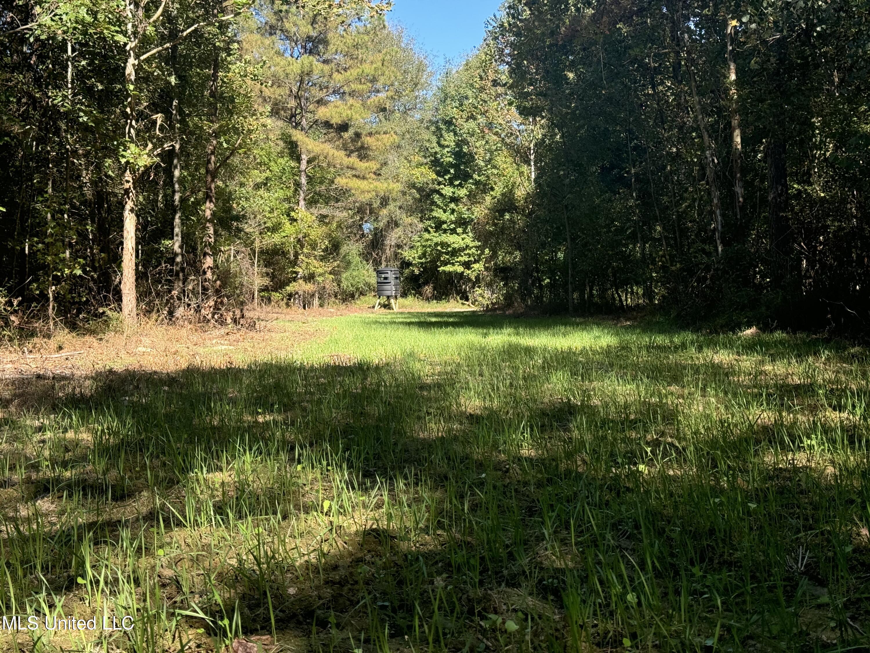 502 Henry Place Road Benton, MS 39039 - Photo 11 of 78 A7D7812C-F106-49C0-B68B-4D72AF6024EA