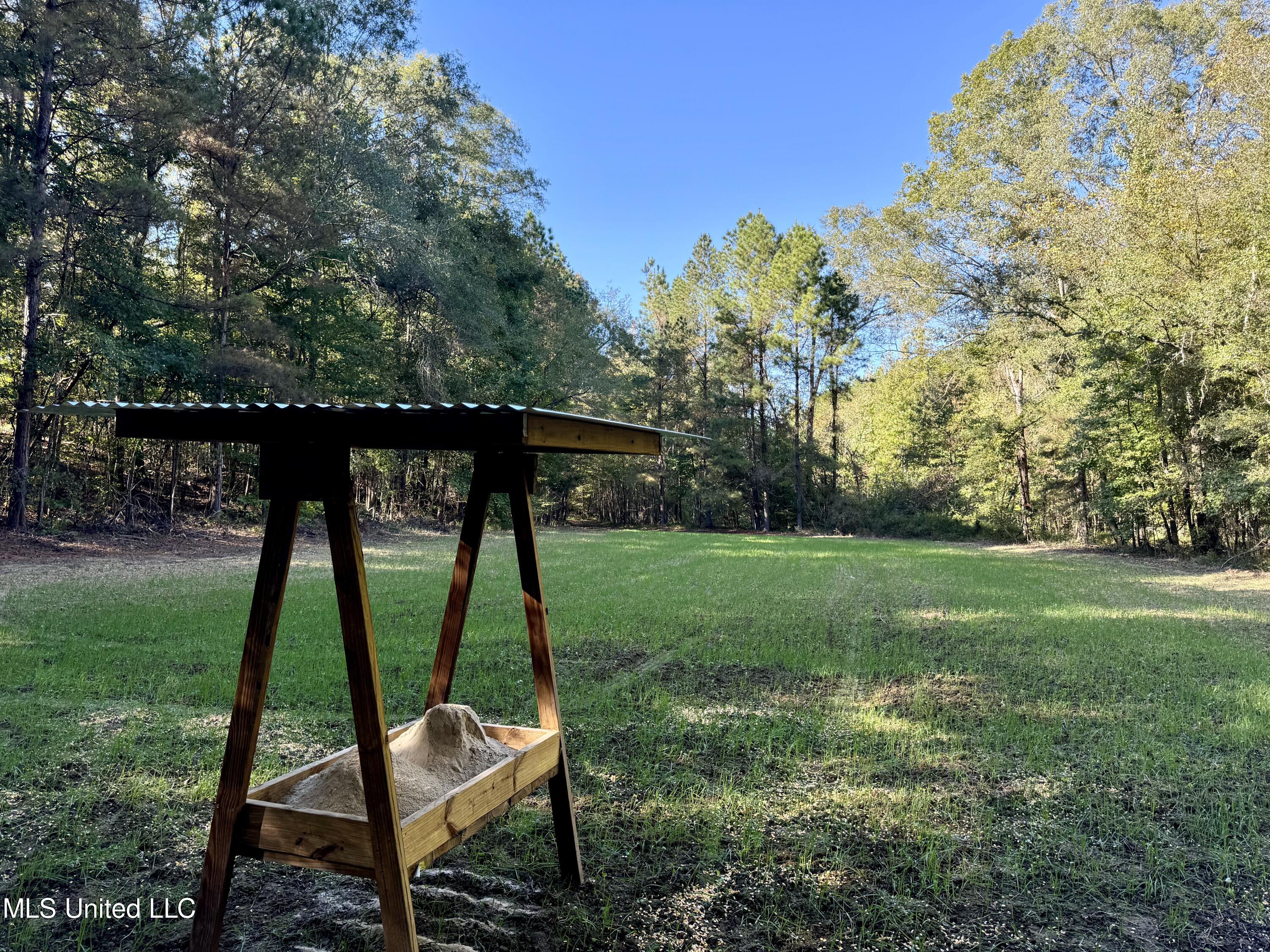 502 Henry Place Road Benton, MS 39039 - Photo 13 of 78 2939772C-B9CB-462E-9FF7-926CC16B89AD