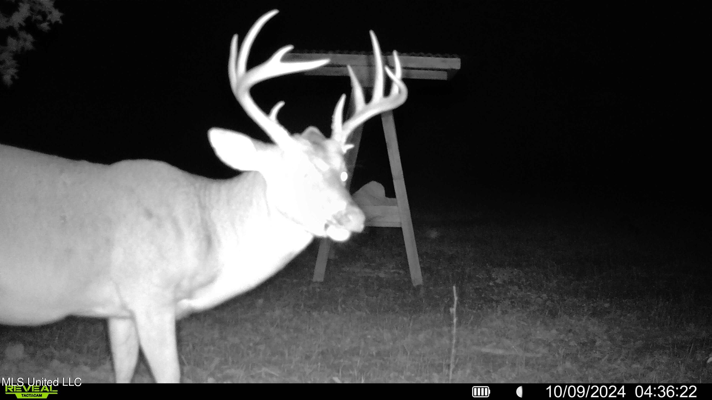 502 Henry Place Road Benton, MS 39039 - Photo 14 of 78 20D30611-DA1F-4E78-B0DC-722470DD66FB