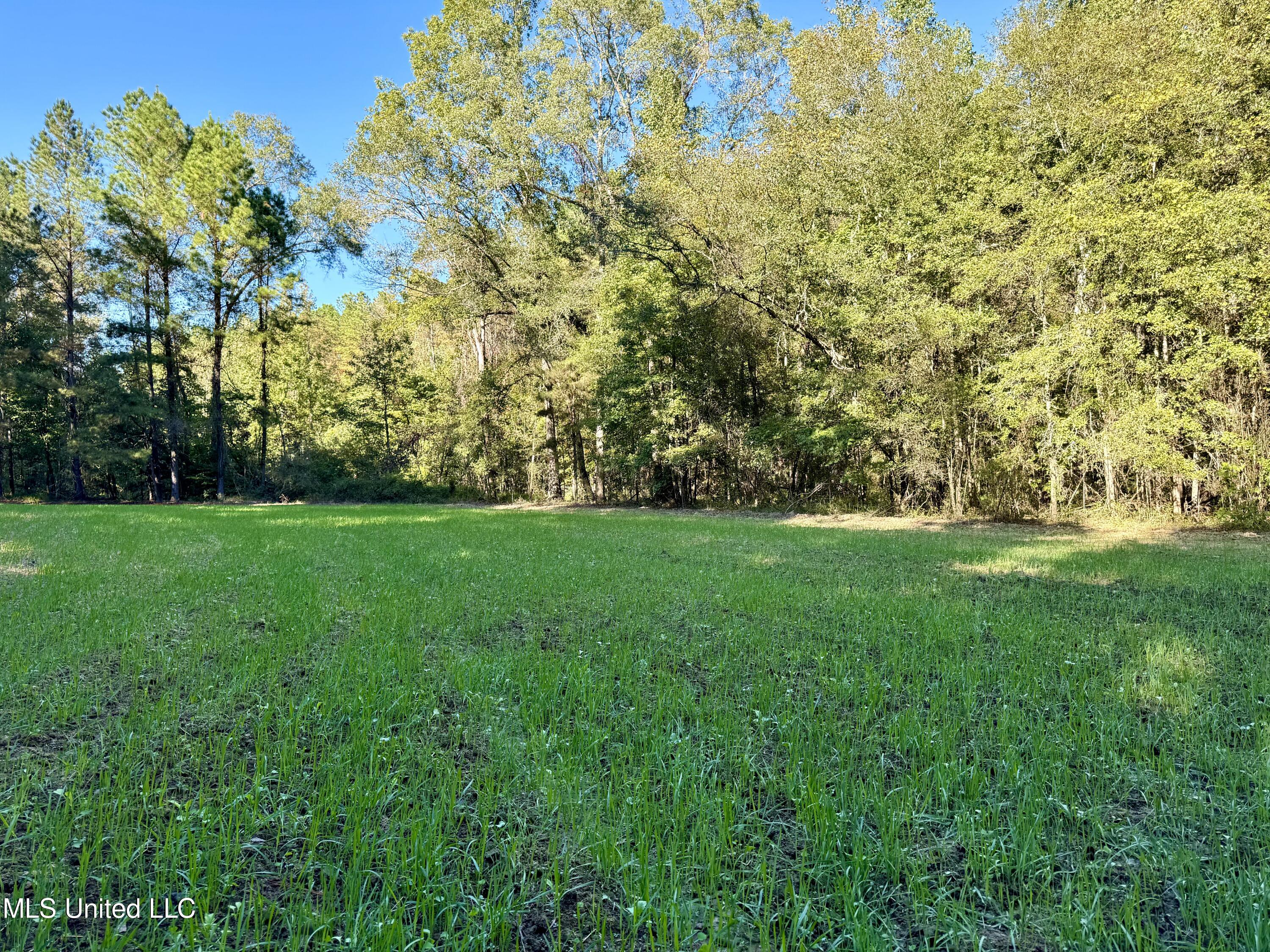 502 Henry Place Road Benton, MS 39039 - Photo 15 of 78 F055CF90-F7D1-4A11-94A6-340E25DC7656