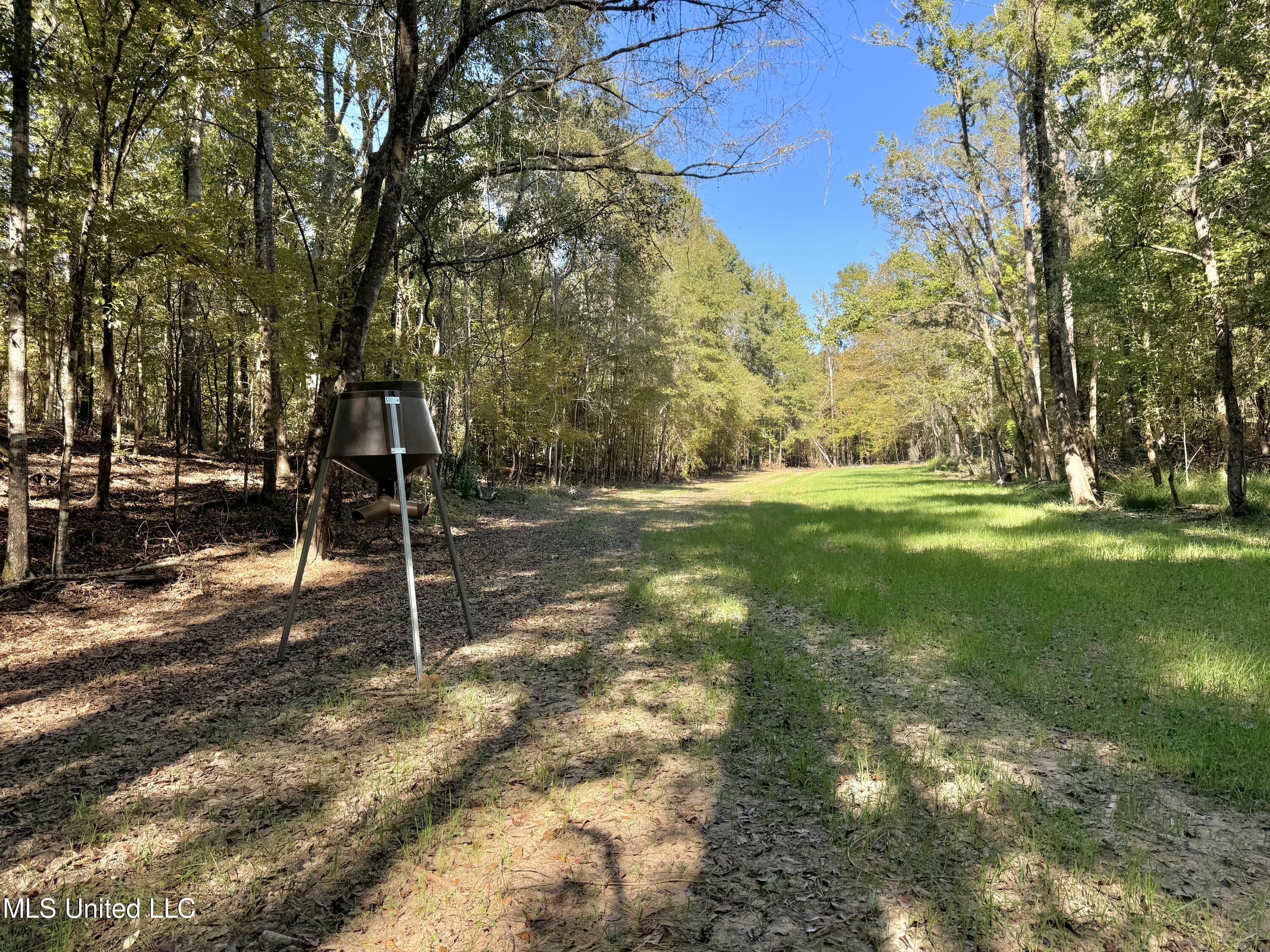 502 Henry Place Road Benton, MS 39039 - Photo 20 of 78 92D40EAF-7D82-4F86-85F5-5BFA276ED140