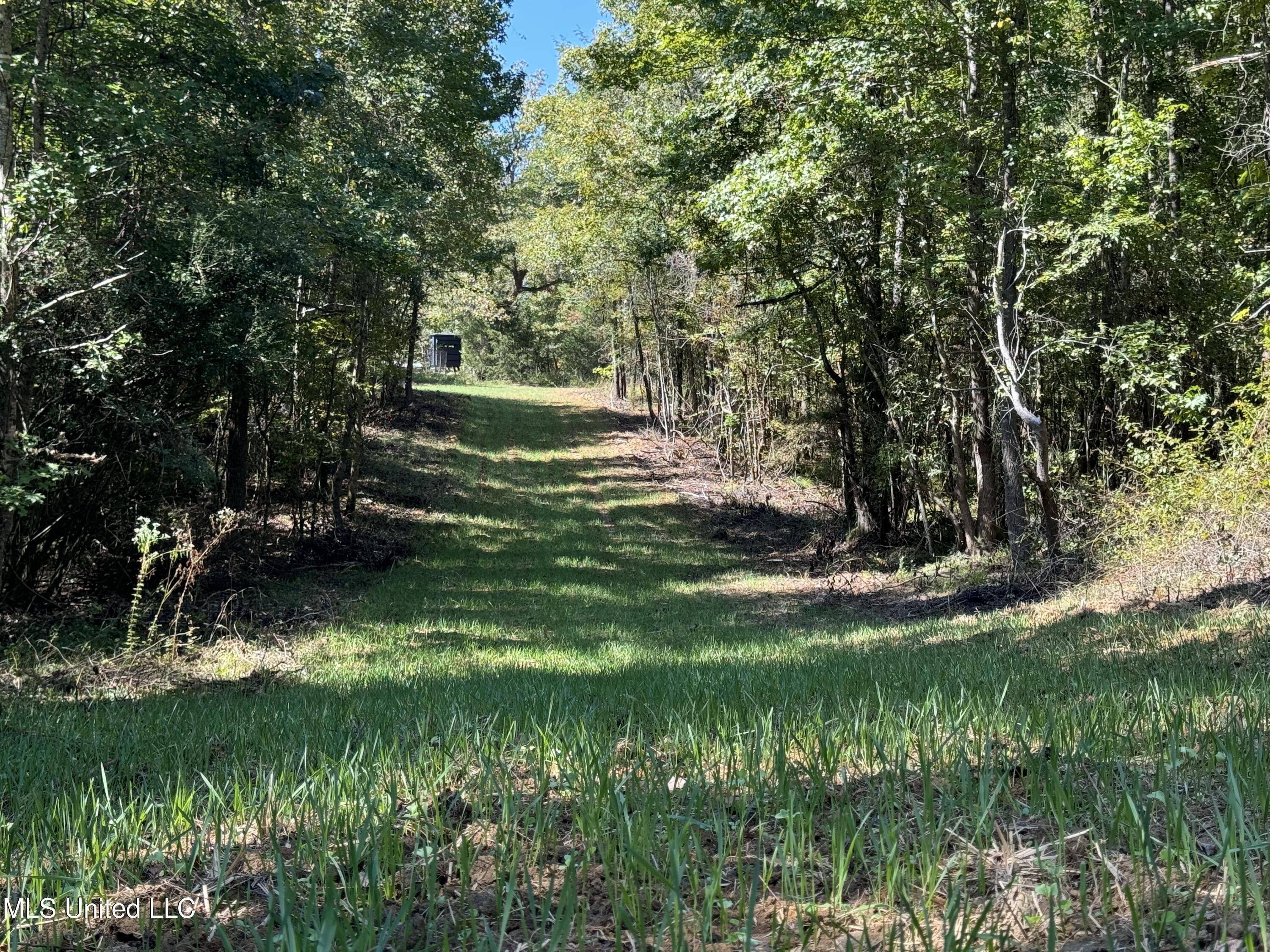 502 Henry Place Road Benton, MS 39039 - Photo 23 of 78 FD50EFEC-D739-45C5-9AED-5F6C9E55D54F