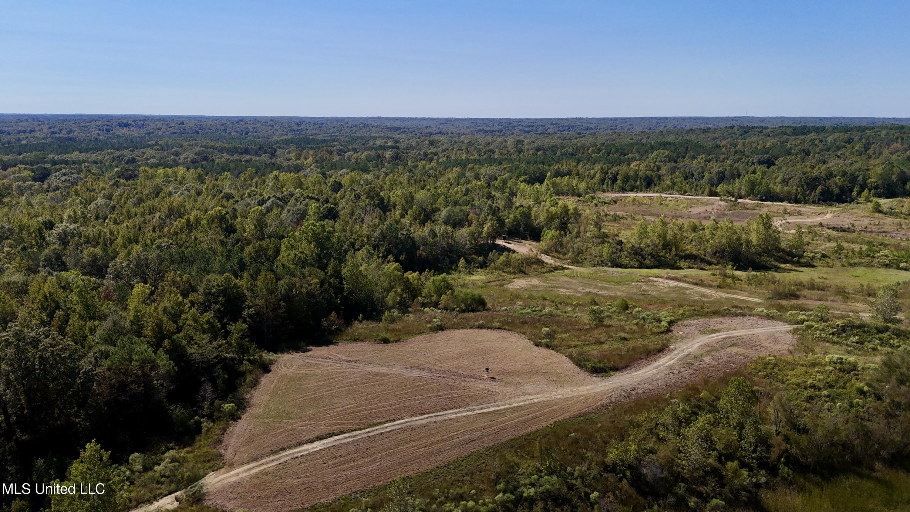 502 Henry Place Road Benton, MS 39039 - Photo 28 of 78 3A58A612-3C41-4B03-B2E8-11BAE10B3D5F