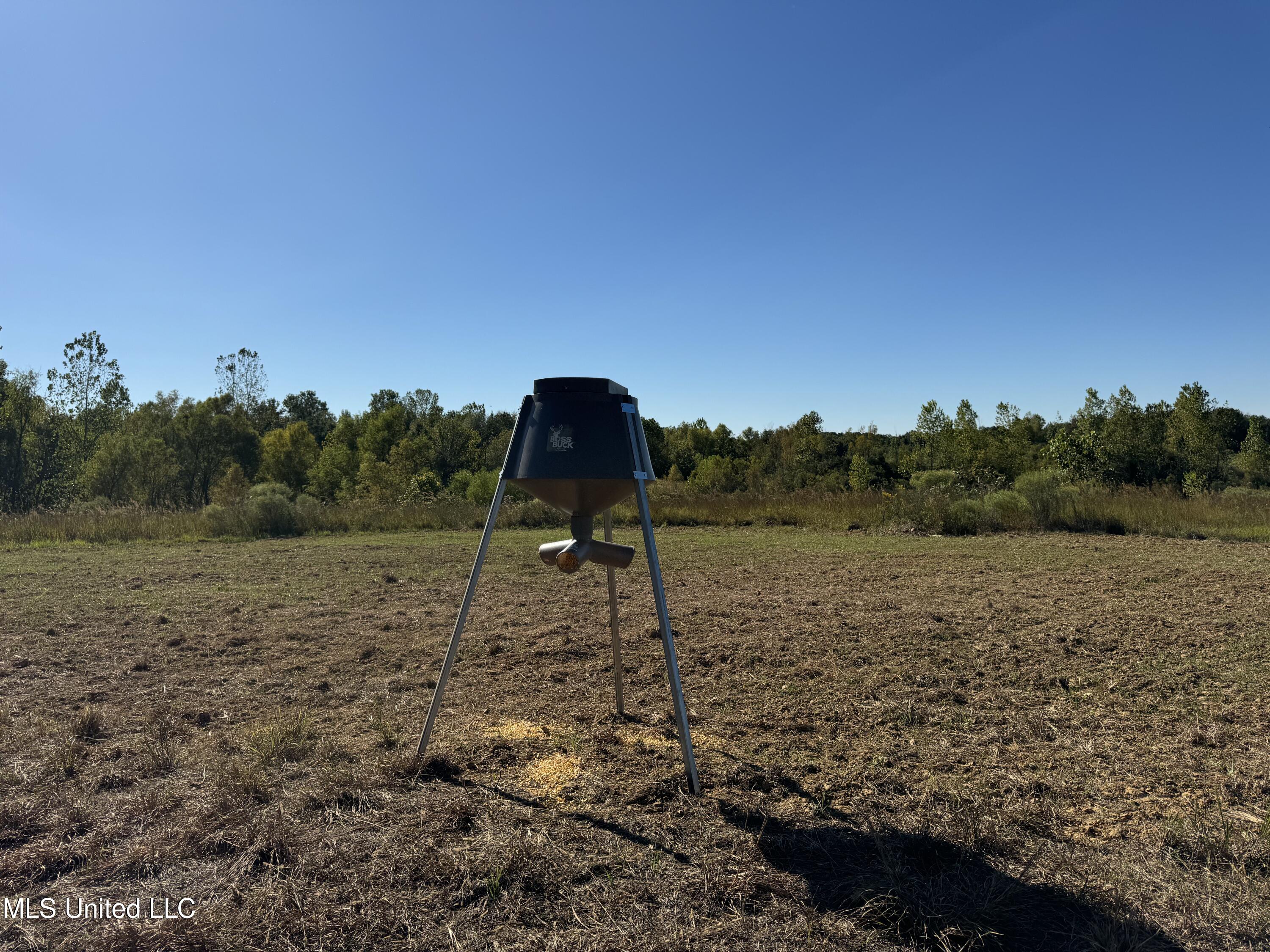 502 Henry Place Road Benton, MS 39039 - Photo 29 of 78 85E16175-B7AA-4F5C-B9A7-1D8183CDCF0C