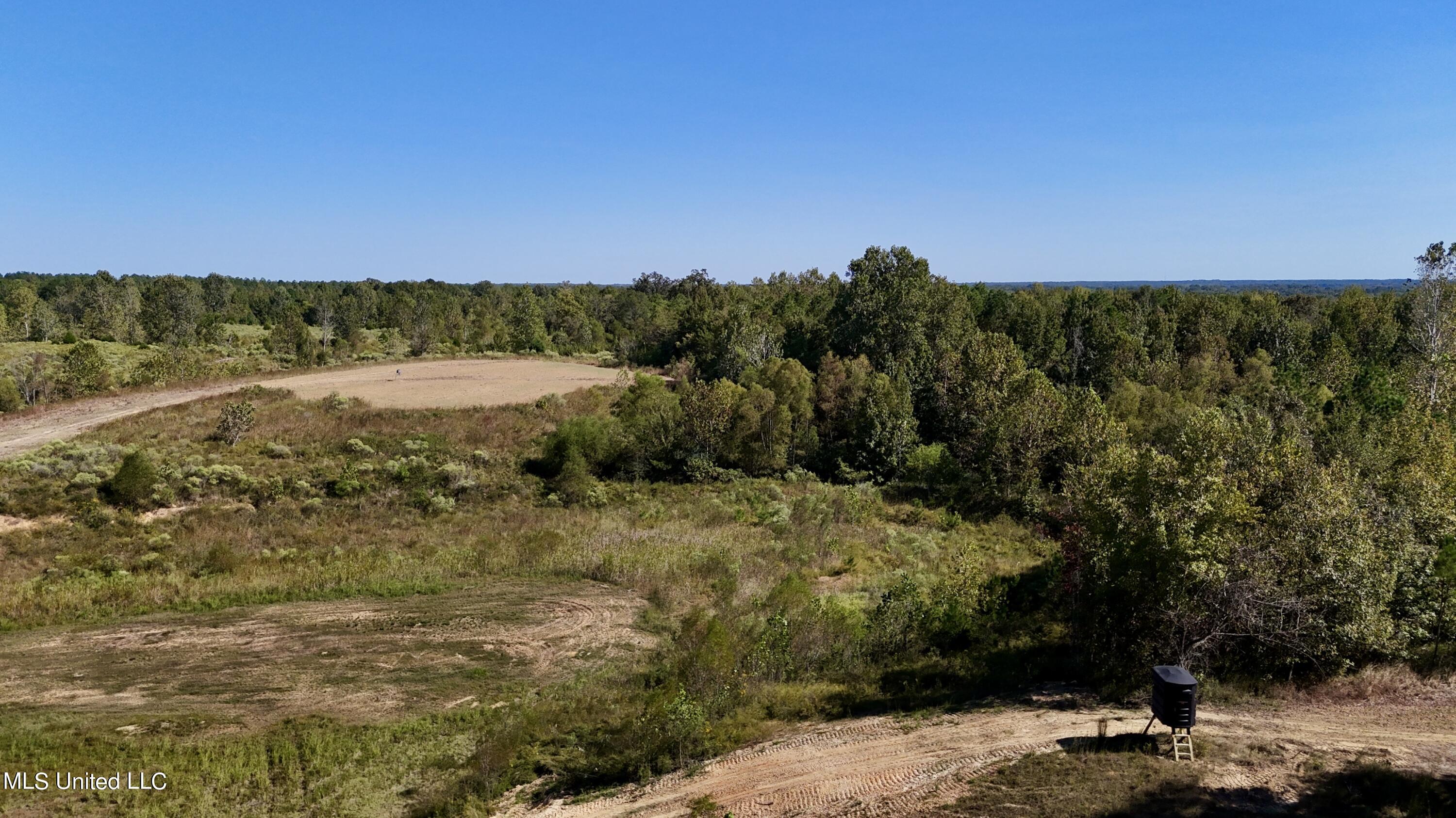 502 Henry Place Road Benton, MS 39039 - Photo 30 of 78 7339D913-293E-4DCD-8883-BD2589412B99