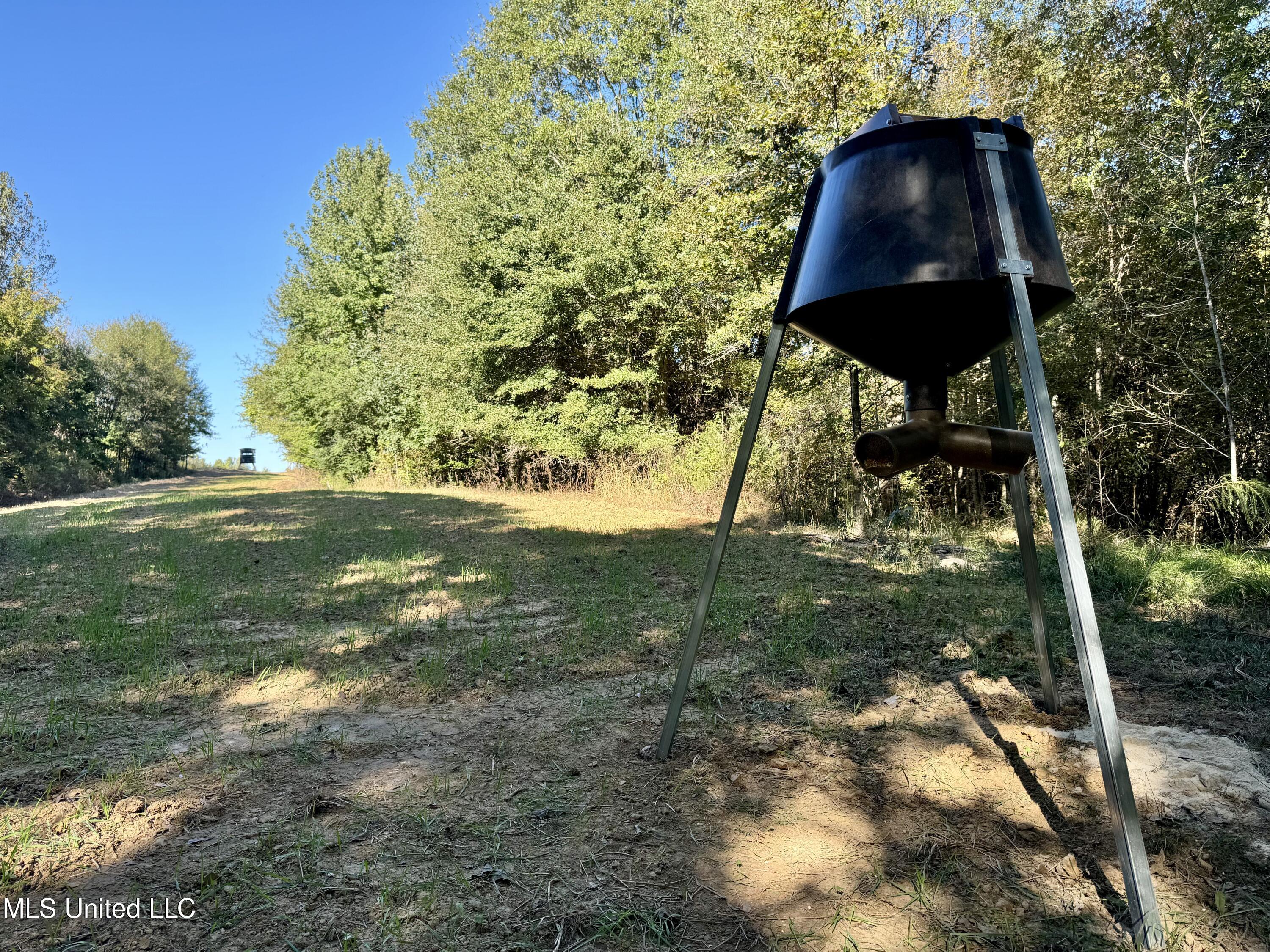 502 Henry Place Road Benton, MS 39039 - Photo 33 of 78 45589471-4208-46D8-B30E-941CF5842547