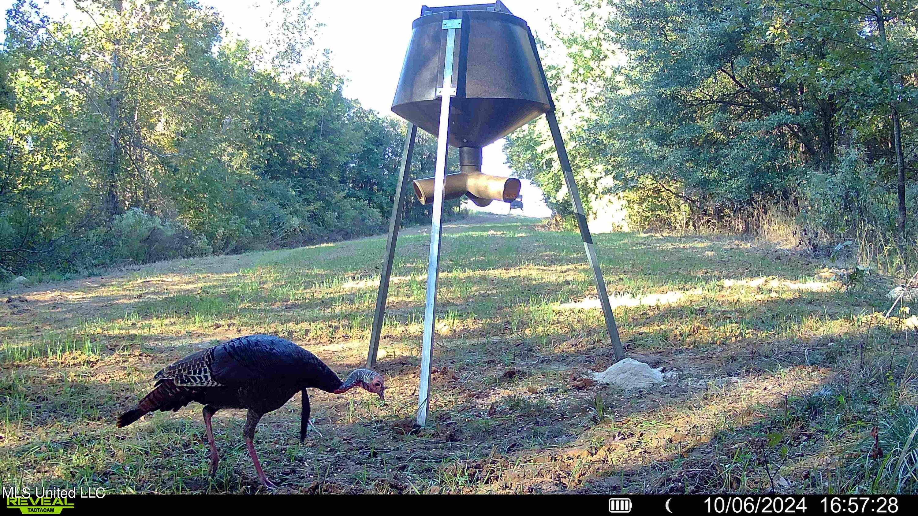 502 Henry Place Road Benton, MS 39039 - Photo 34 of 78 A727B755-62AD-4AEC-822A-75C8C1350A36