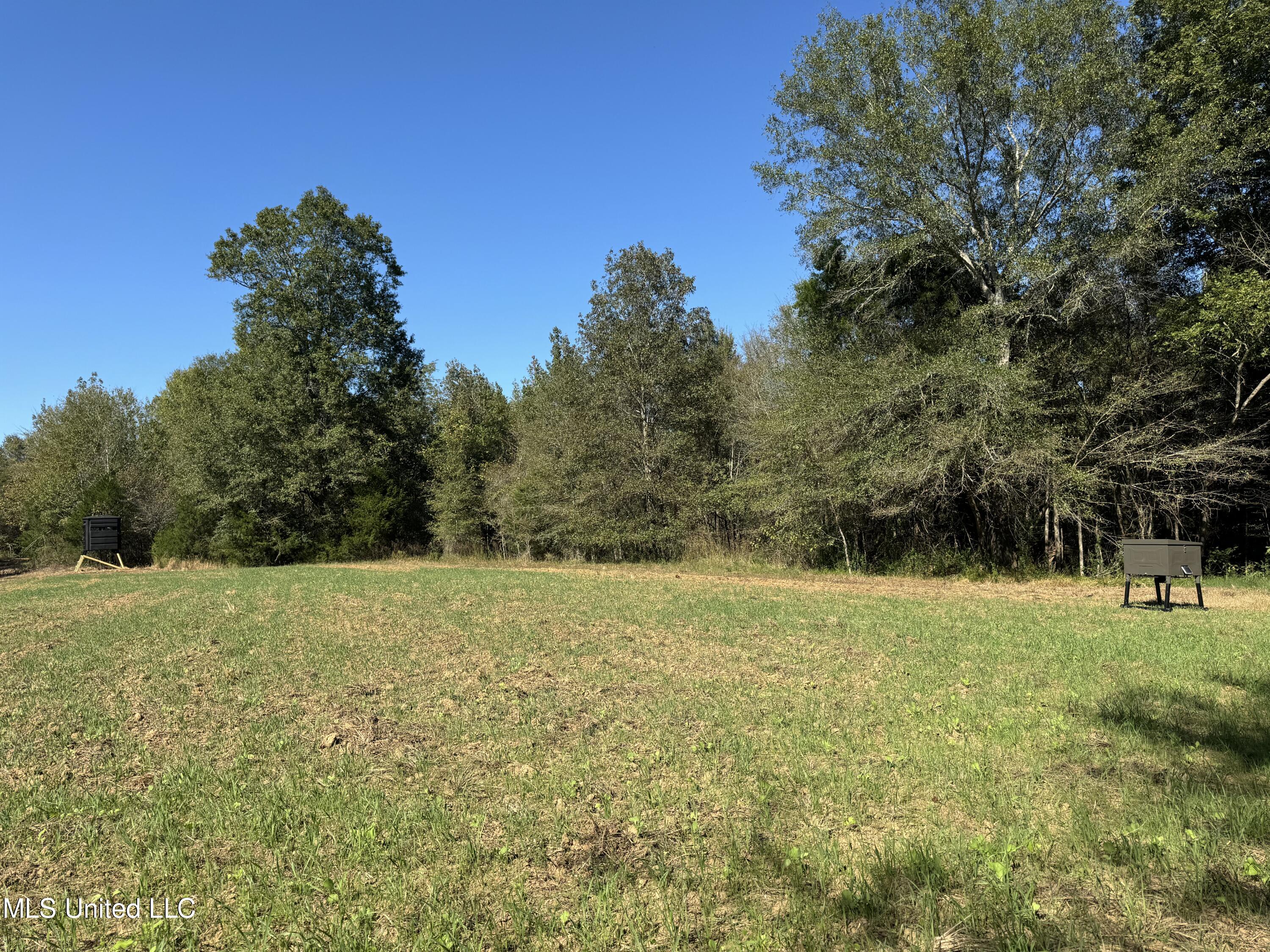 502 Henry Place Road Benton, MS 39039 - Photo 36 of 78 02E4614E-1D82-4B38-ADA1-0D8380D30B82