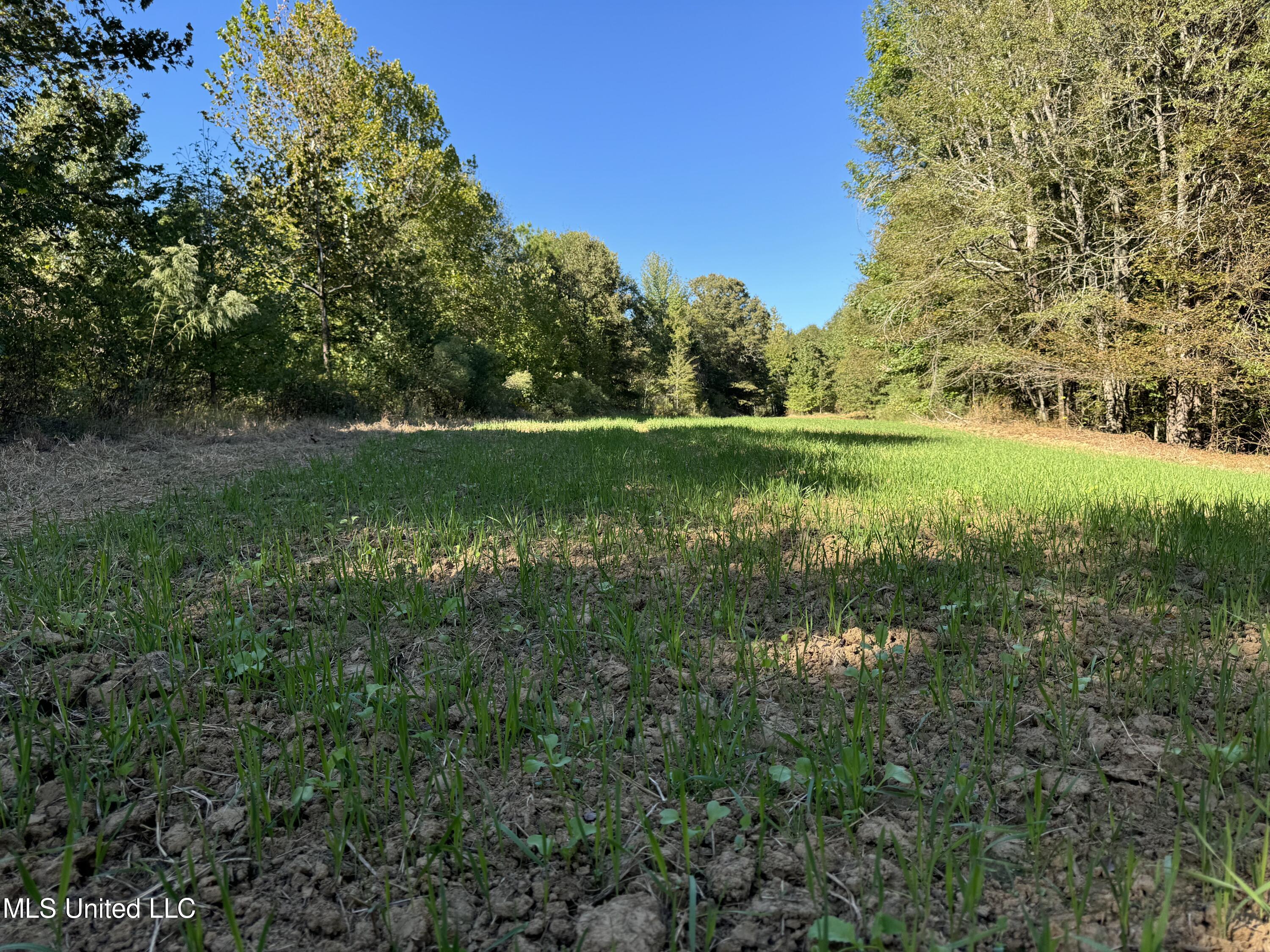 502 Henry Place Road Benton, MS 39039 - Photo 39 of 78 72E56446-7503-45E1-A335-A857BA0761A3