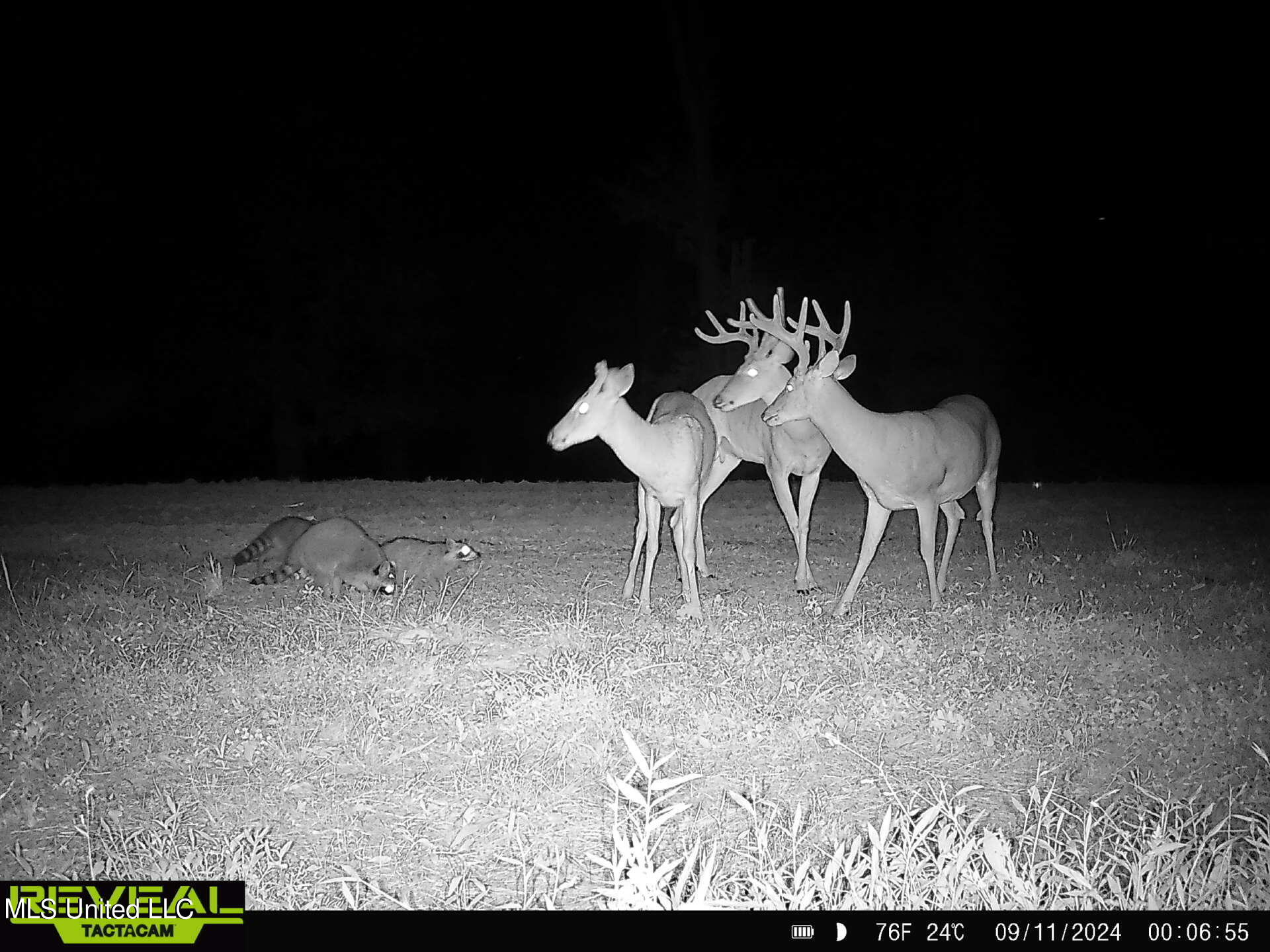 502 Henry Place Road Benton, MS 39039 - Photo 4 of 78 6FE2116E-2221-4A2B-9A68-E0A44AD60D96
