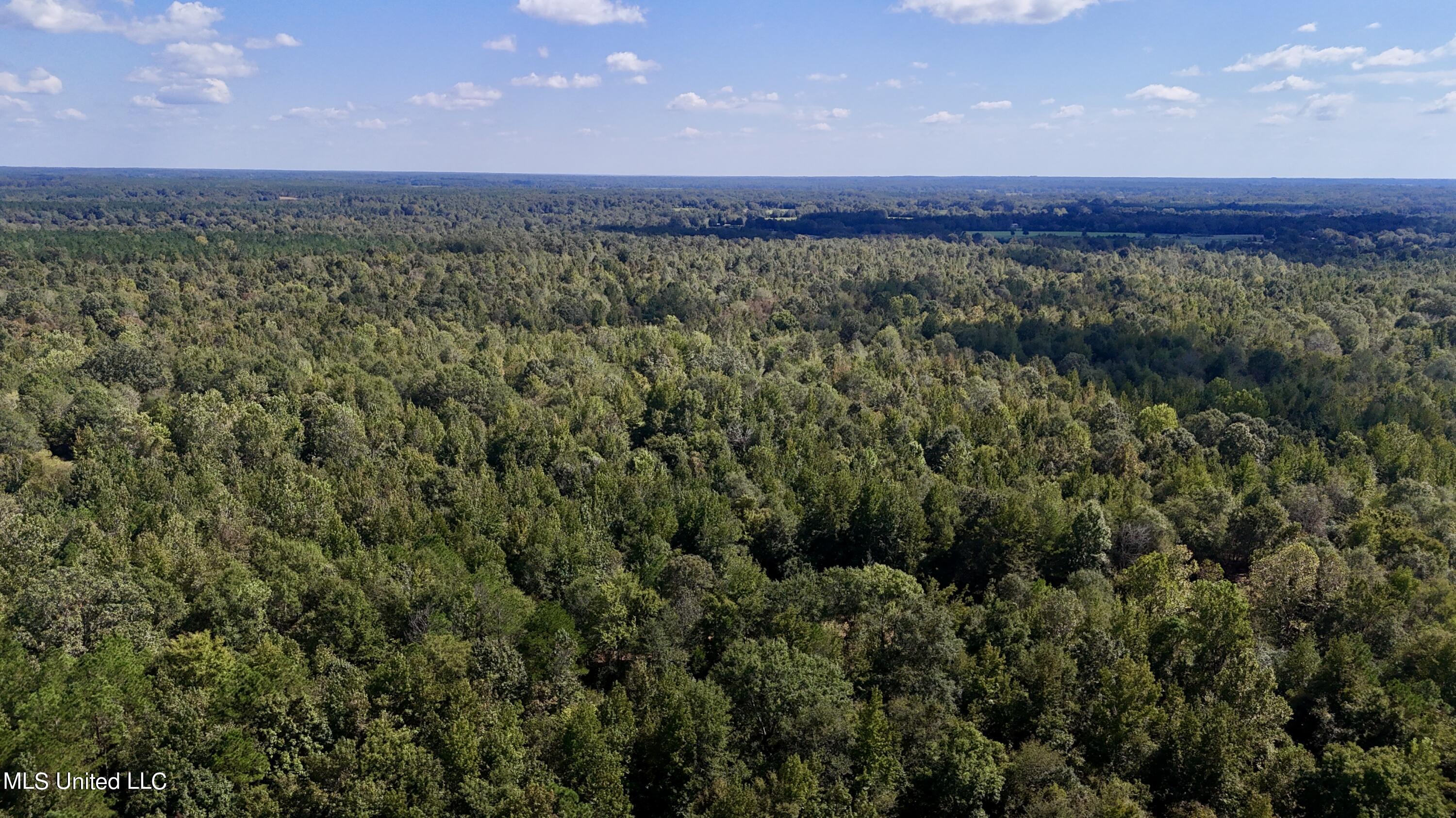 502 Henry Place Road Benton, MS 39039 - Photo 43 of 78 F52C9F62-5AA4-4AFE-ACA3-50B60EAB4392