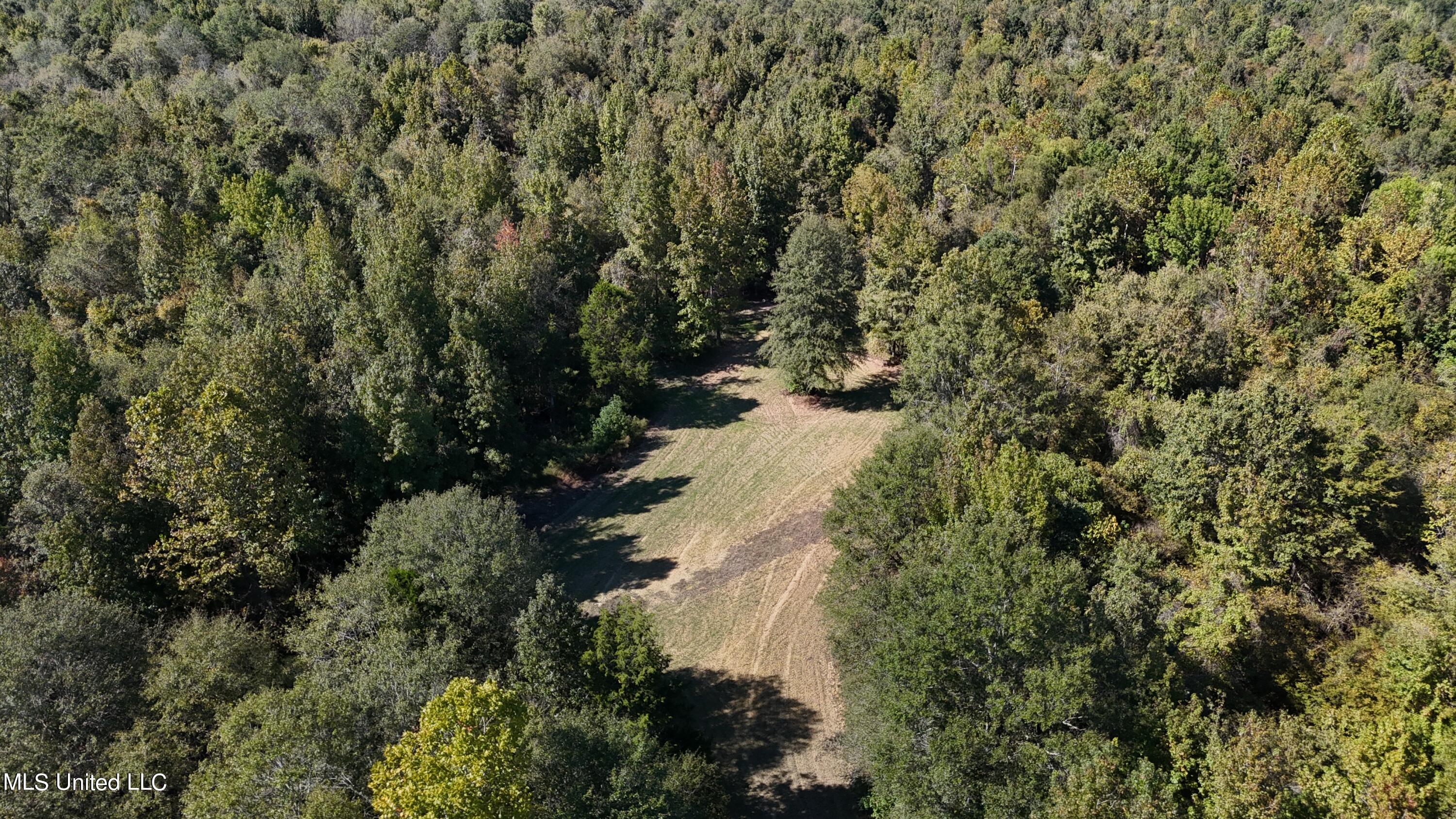 502 Henry Place Road Benton, MS 39039 - Photo 45 of 78 BB31F7A0-01F6-4298-AA49-87E7A1107304