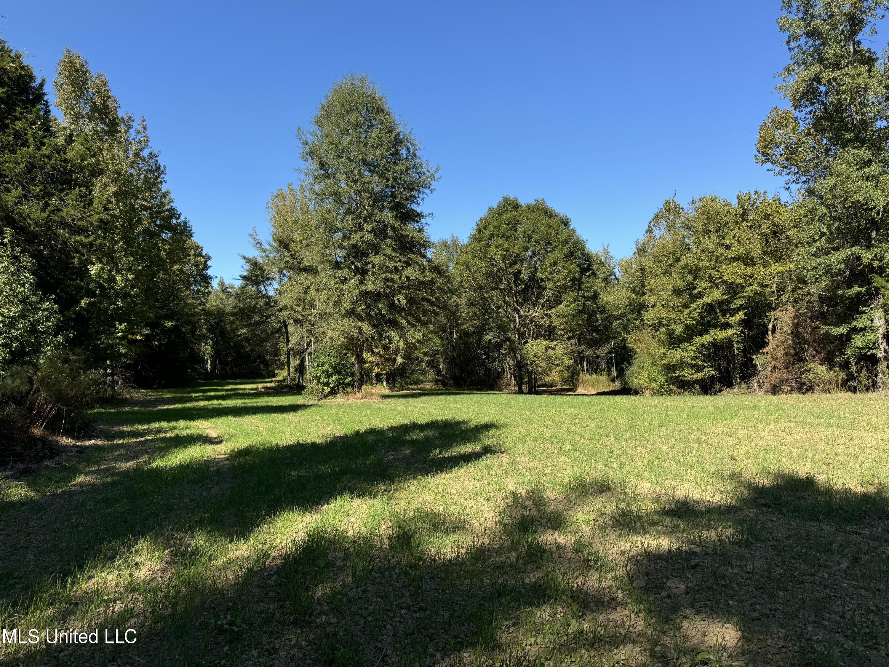 502 Henry Place Road Benton, MS 39039 - Photo 46 of 78 84E0A2BE-966D-42C6-B341-AFC5CF816BB7