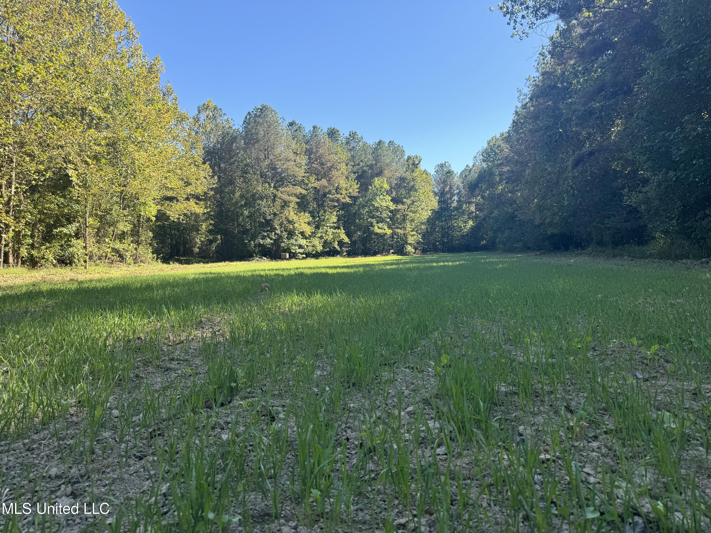 502 Henry Place Road Benton, MS 39039 - Photo 49 of 78 70AC090E-A8D1-4928-8F15-47B44DDAC8A0