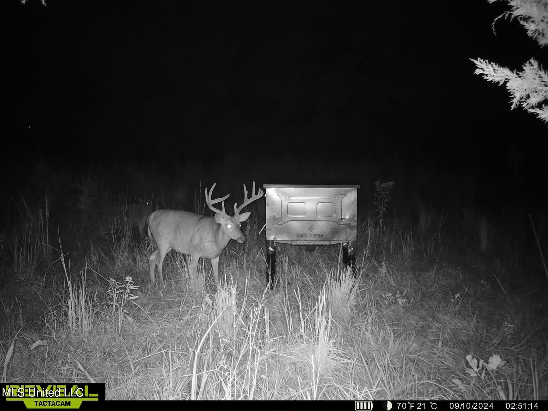 502 Henry Place Road Benton, MS 39039 - Photo 50 of 78 8D94C1C5-098A-4CDE-8345-007FF065DC0C