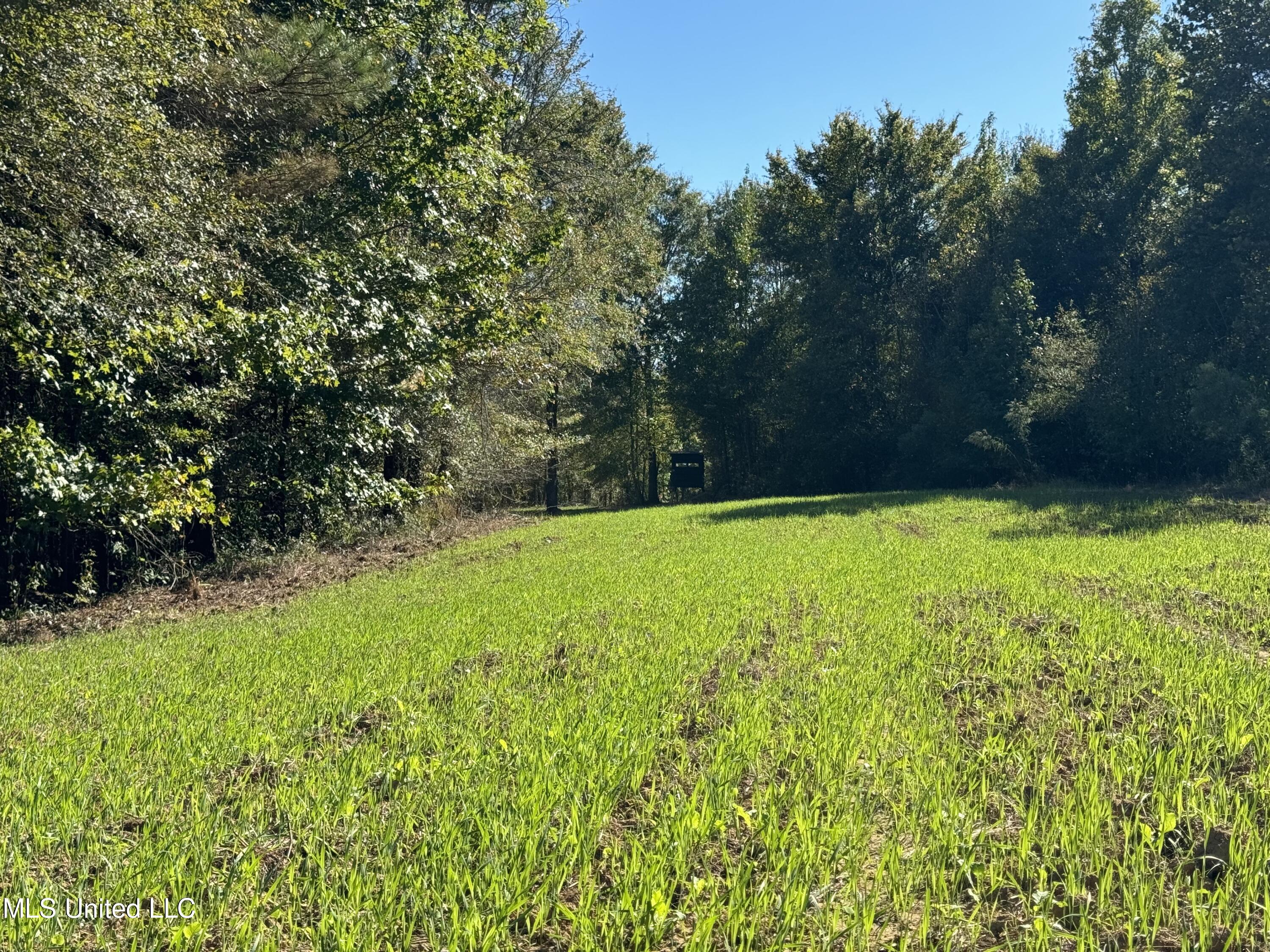 502 Henry Place Road Benton, MS 39039 - Photo 52 of 78 5C834501-3591-40A5-8AA2-FEAB291383D8