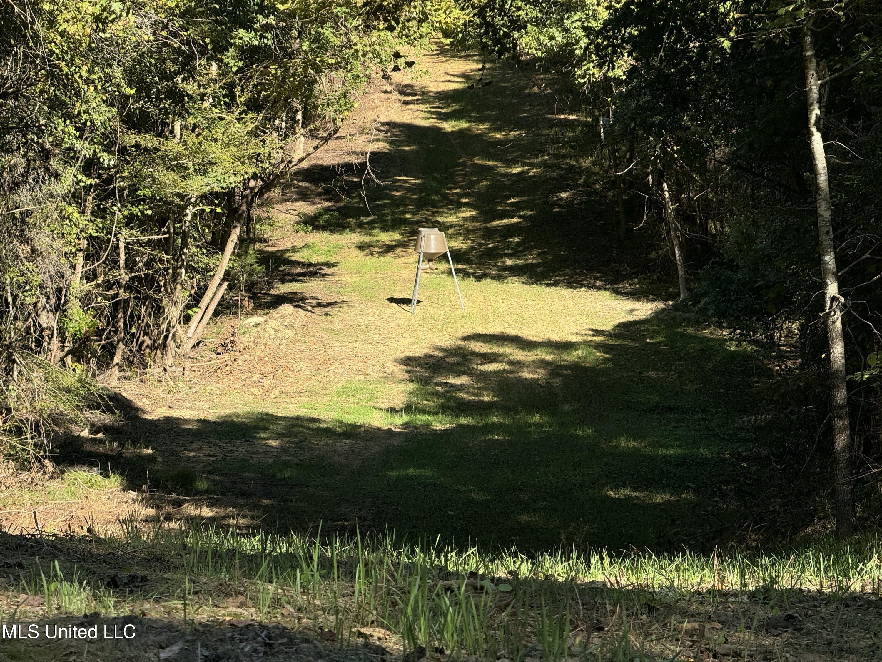 502 Henry Place Road Benton, MS 39039 - Photo 56 of 78 B29EFDC1-4189-4ADF-8392-157C0A3A58E9