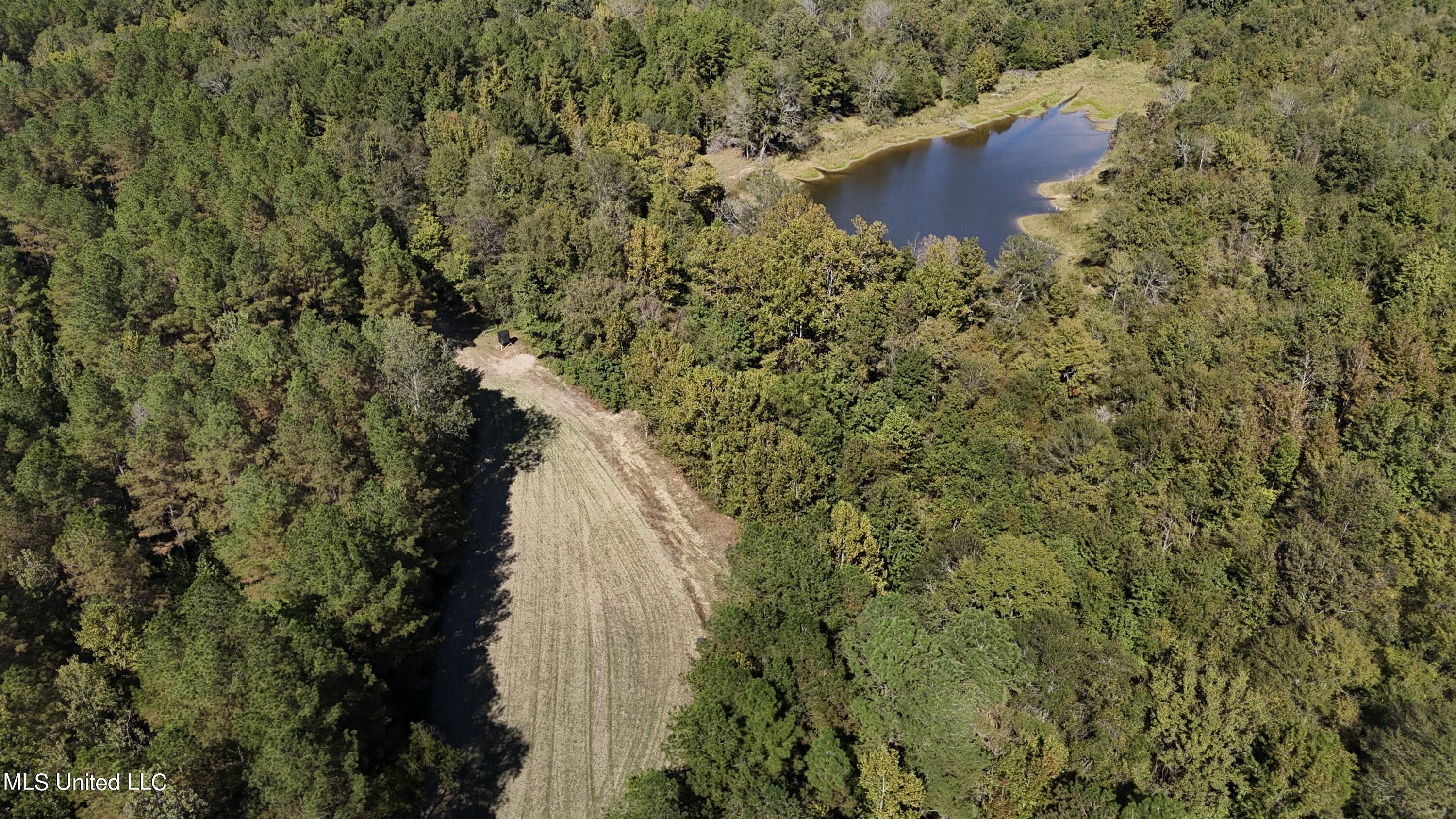 502 Henry Place Road Benton, MS 39039 - Photo 59 of 78 A8E12E54-05B7-473F-9F79-01C286116F4B