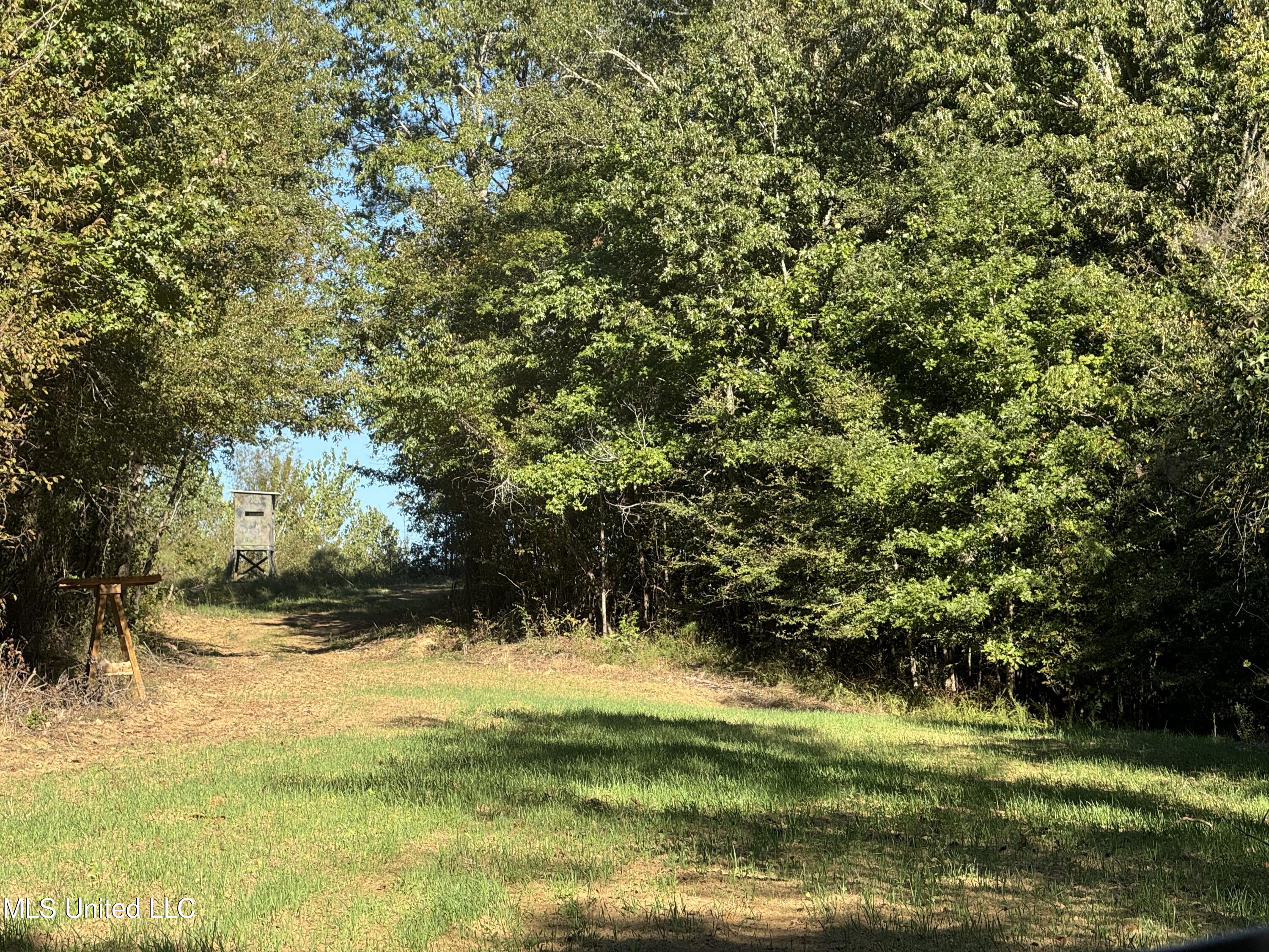 502 Henry Place Road Benton, MS 39039 - Photo 60 of 78 C5A1ECB9-CB44-4D5D-8698-B4370F2521B2