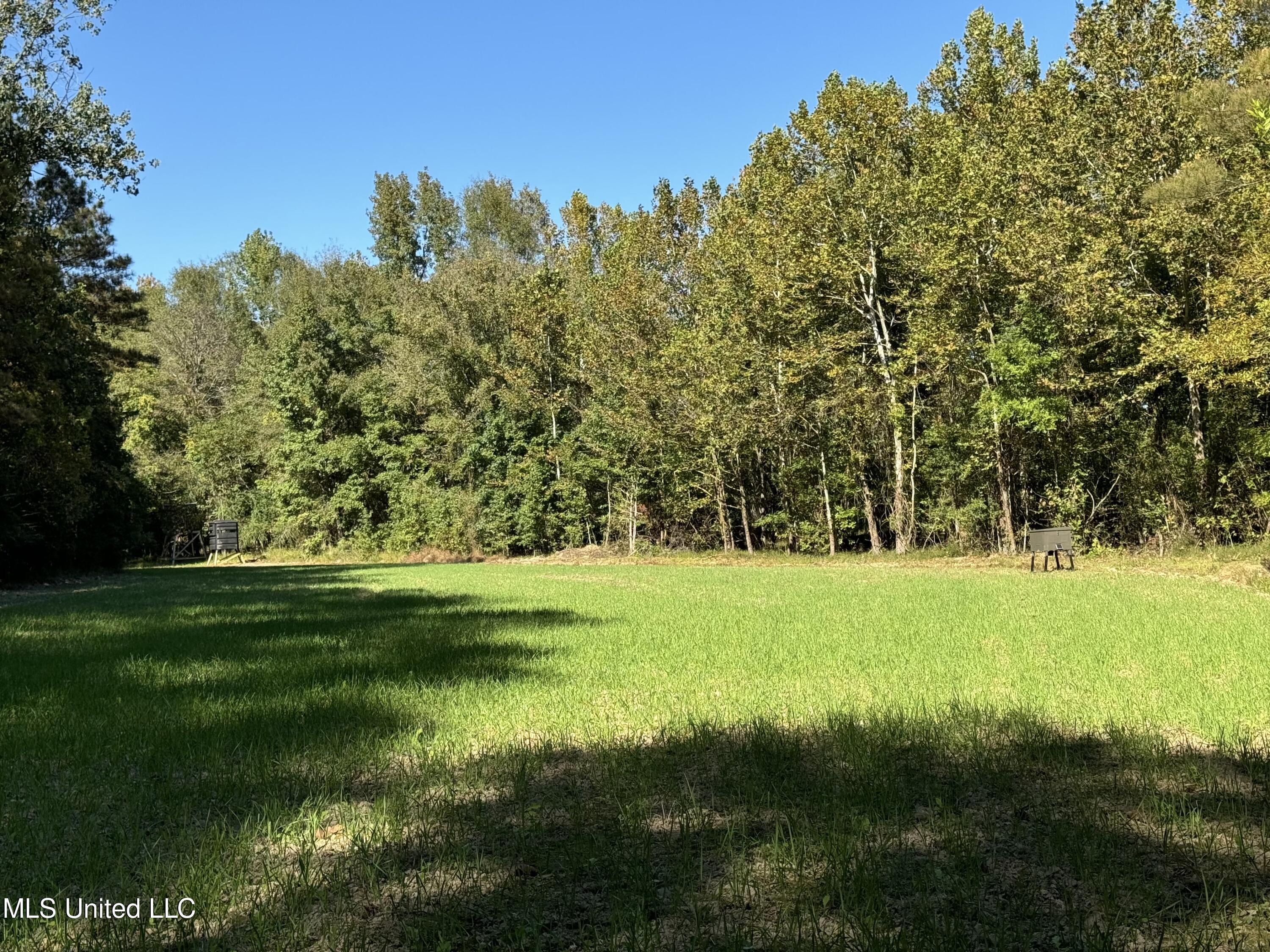 502 Henry Place Road Benton, MS 39039 - Photo 6 of 78 001C0B0D-7691-48A5-A833-BFE501C527DD