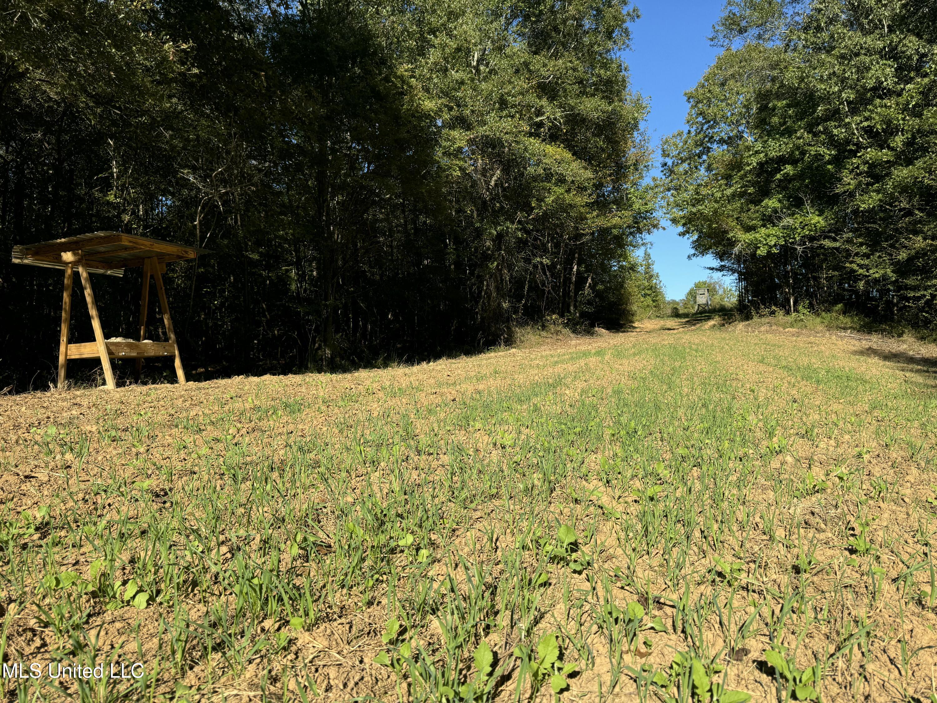 502 Henry Place Road Benton, MS 39039 - Photo 61 of 78 28169956-B192-4C20-B2D0-BFDC05B1C6D1