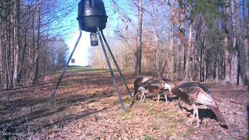 502 Henry Place Road Benton, MS 39039 - Photo 63 of 78 26C73847-313A-4C8D-B41A-EC9A097411E7_4_5