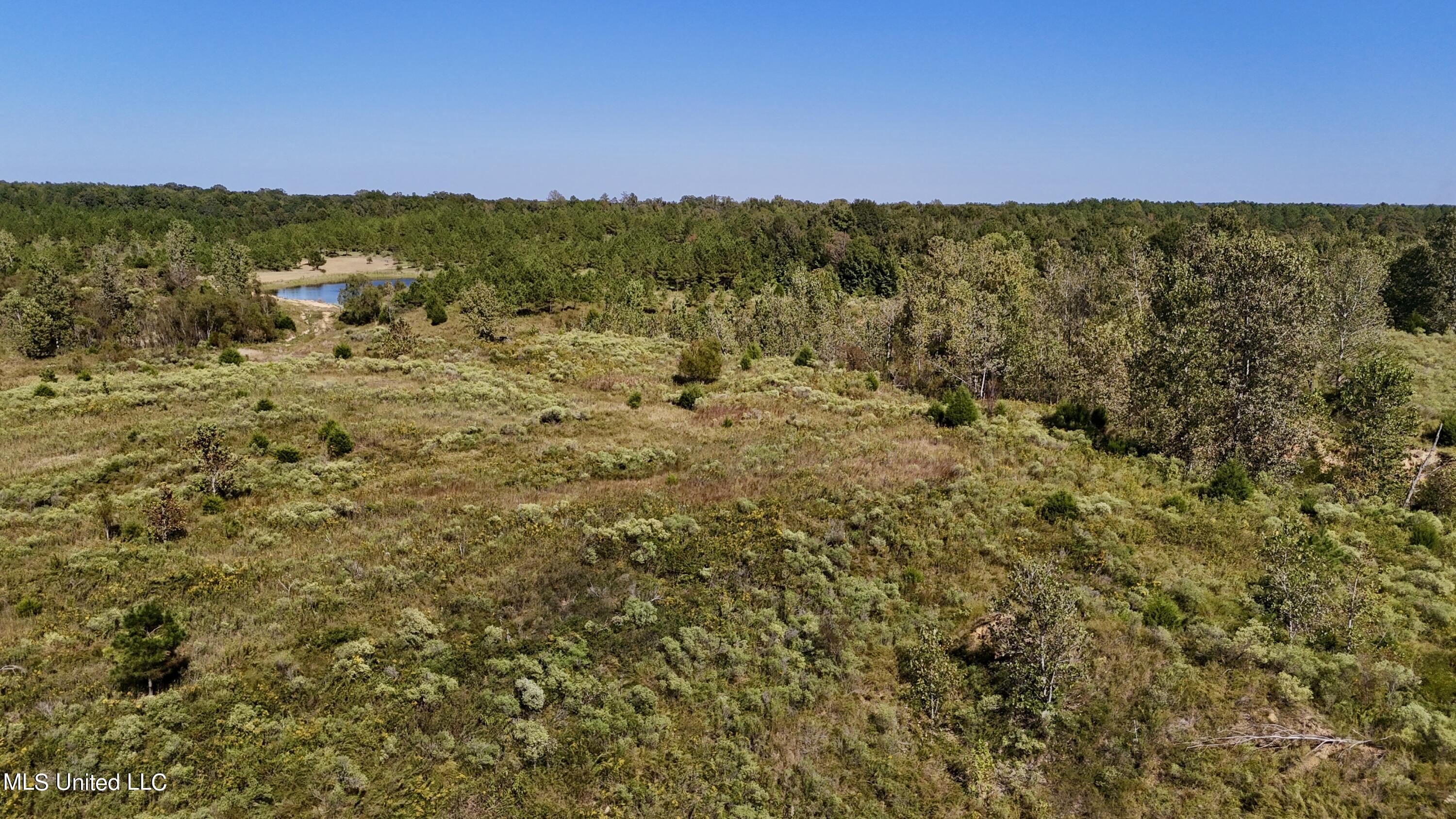 502 Henry Place Road Benton, MS 39039 - Photo 64 of 78 A850DCC8-5B19-491A-9EE3-A93910B90A57